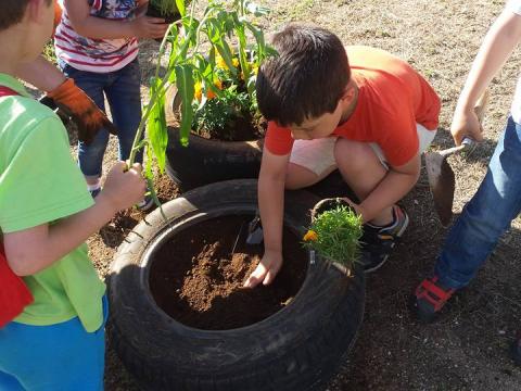 Também fizemos um aproveitamento de pneus e criamos um jardim em família, com vários tipos de plantas, comestíveis e não só.Neste jardim as crianças fizeram a observação e reconhecimento de vários tipos de plantas e ficaram a saber como as deviam cuidar.
